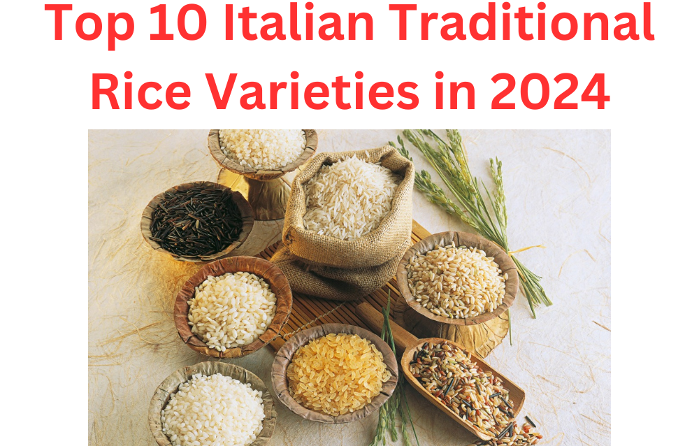 Top 10 Italian Traditional Rice Varieties in 2024