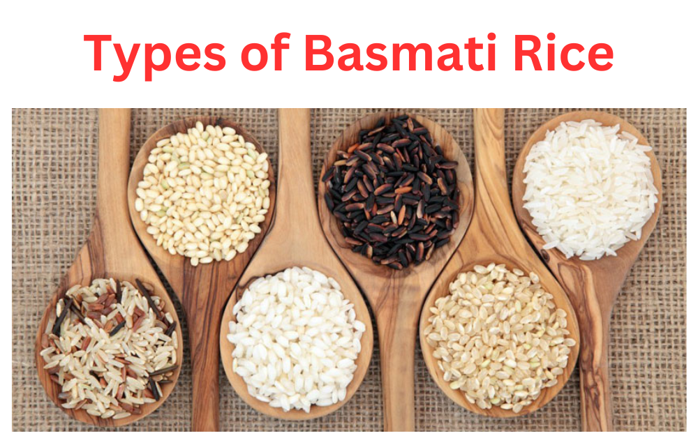 Types of Basmati Rice | Complete Information